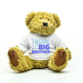 I'm Going To Be A Big Brother Teddy Bear Gift, New Baby Announcement Present, Older Sibling Gifts, Pregnancy Announcement