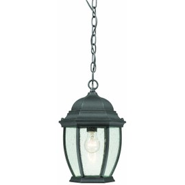 Thomas Lighting SL92337 Covington Outdoor Hanging Lantern, Black