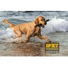 Collar Adiestramiento Perros Patpet 15-150 Lb Ajustable