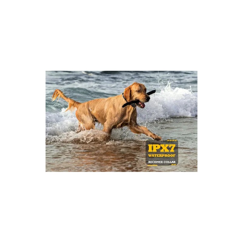 Collar Adiestramiento Perros Patpet 15-150 Lb Ajustable