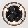 Vaczon 12.5" Black Caged Fandelier Ceiling Fan with Light and