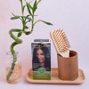 Naturtint | Henna Cream | Semi-Permanent Colouring Cream without Ammonia