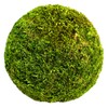 SuperMoss (21657) Moss Ball, Fresh Green, 6"