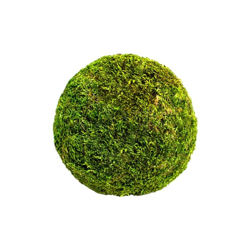 SuperMoss (21657) Moss Ball, Fresh Green, 6"