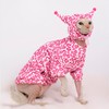 GigglyHouse Sphynx Cat Clothes, Cat Suit with Hat and Sweatshirt,