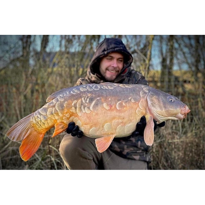 Bug Bait - The Bugs Nuts Boilies (Size 18 mm,