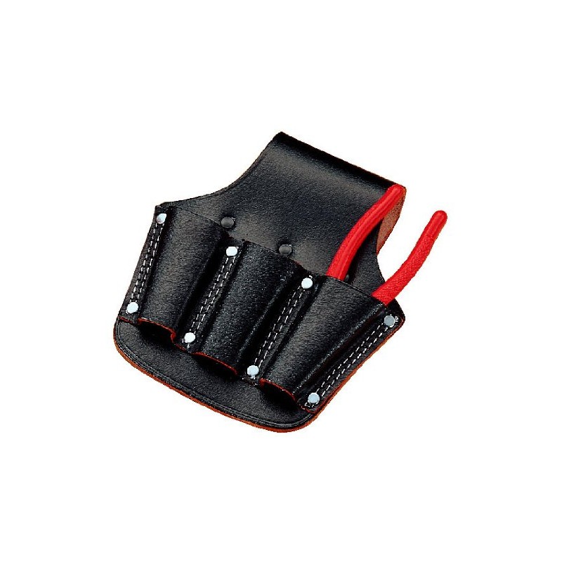 Kozuchi SP – G3 koduti Case Series Pointing Pointing 8