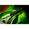 Perpetua Set of 2 White and Black Pencils - Lapis