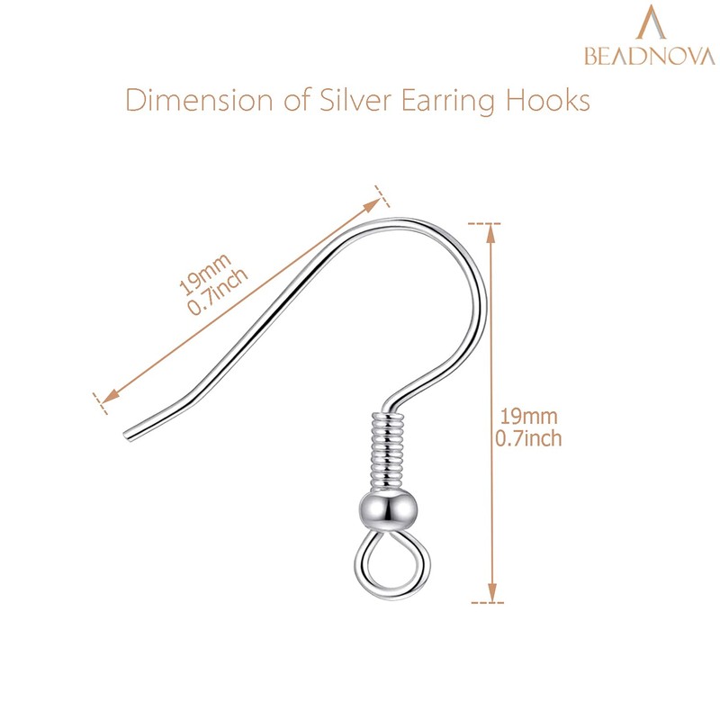 BEADNOVA Fish Hook Earring Hooks 150pcs Earring Findings with Backs