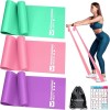 RENRANRING Resistance Bands for Working Out, Exercise Bands for Physical
