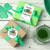St. Patrick's Day Stickers, Irish Blessing Decor Shamrock Stickers, 20