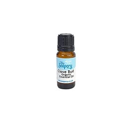 Clove Bud Organic Essential Oil 10ml - 100% Pure and Natural