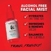 Thayers Unscented Witch Hazel Facial Mist with Aloe Vera Toner