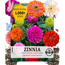 1000+ Crazy Blend Zinnia Seeds for Planting, Heat & Drought Tolerant, Zinnia Elegans Lilliput Seeds, Garden Cut Flower Mix, Non GMO, Untreated Mixed Color Zinnia Flowers