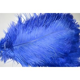 FeatherParadise Royal Blue Ostrich Feathers 12-14 inch 12 Pieces(GA, USA)
