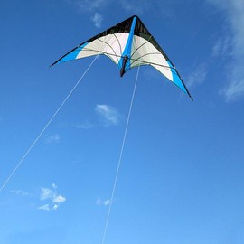 Upgrade Star Rhyme 48 Inch Dual Line Stunt Kite for Kids and Adults,Outdoor Sports,Beach and Fun Sport Kite,Handle,Line,and Bag Included