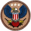 Awesome Boy Scout Patches - (N35) The Freedom Eagle Patrol! 47799