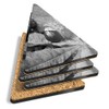 4 x Triangle Coasters - BW - Conker Horse Chestnut