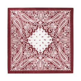 GERINLY 2 PCS Silk Scarf Mens, Retro Neckerchief Paisley Print, Italian Head Scarf Travel