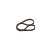 Bosch 30_1987948816 TIMING BELT