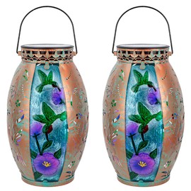 VEWOGARDEN 2 Pack Hanging Solar Lanterns Outdoor Waterproof Decorative Hummingbird Solar Lights for Patio Porch Garden Table Decor