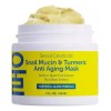 Seoul Ceuticals Anti Aging Mask                                                                                                                       