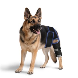 RUXAN Dog Knee Brace for Torn Acl, Dog Leg Braces for Back Leg, Knee Brace for Arthritis Pain and Support, Dogs Rear Leg Wrap Harness Set for Leg Wound Care and Lick Prevention-L