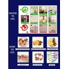 JAAMSO ROYALS Multicolor 3D Butterflies' Wall Sticker 1 Combo of