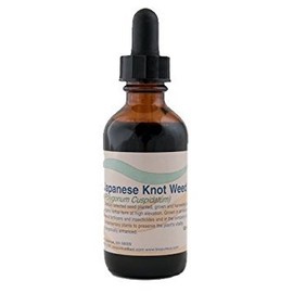 Biopure Japanese Knot Weed (Organic) - 2 Fluid Oz.