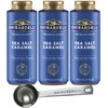Ghirardelli Sea Salt Caramel Flavored Sauce - 16 oz Squeeze