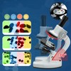 Kids Beginner Microscope Science Kit Portable 200X‑1200X Microscope Kit for