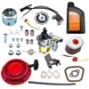 HZ Adjustable Carburetor Recoil Starter Assembly Tune Up Kit Compatible