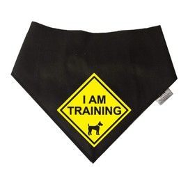 Spoilt Rotten Pets I AM TRAINING - Alert Yellow Warning Sign On S2 Black Dog Bandana - For Puppy & Dog Students In Behavioral Therapy