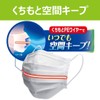 Pip Pleated Guard Breathing Comfort Mask, Pack of 30, Regular,