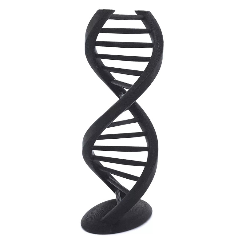 DNA Double Helix, 3D Printed