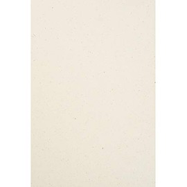 Netuno 10 Sheets Cream Natural Cardboard DIN A4 210 x 297 mm 240 g Flora Giglio Eco Craft Cardboard Recycled Cardboard A4 Ecological Creative Cardboard Vintage Cardboard Environment for DIY Projects