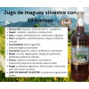 3 Jugo De Magey Silvestre Natural + 10 Hierbas 1l