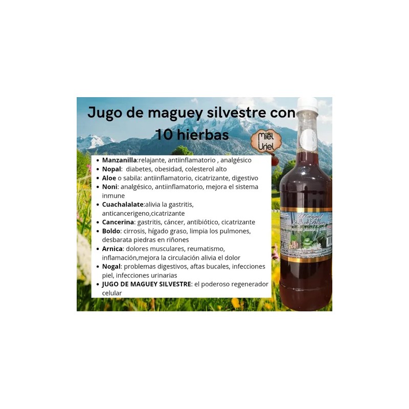 3 Jugo De Magey Silvestre Natural + 10 Hierbas 1l