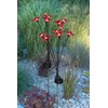 Ideaworks Solar Swaying Firefly Stakes Set of 2 Butteryfly