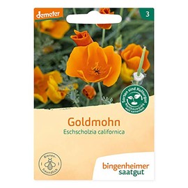 Bingenheimer Saatgut Organic Golden Poppy (1 Bag)