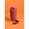 DaVinci Gourmet Wildberry Blast Smoothie, 48 Fluid Ounces (Pack of