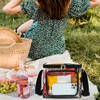 FlowFly Clear Lunch Bag Adult Large Heavy Duty Transparent Stadium