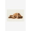 DMC Reclining Lion Cub, Includes Aida Fabric, Needle, Embroidery Threads