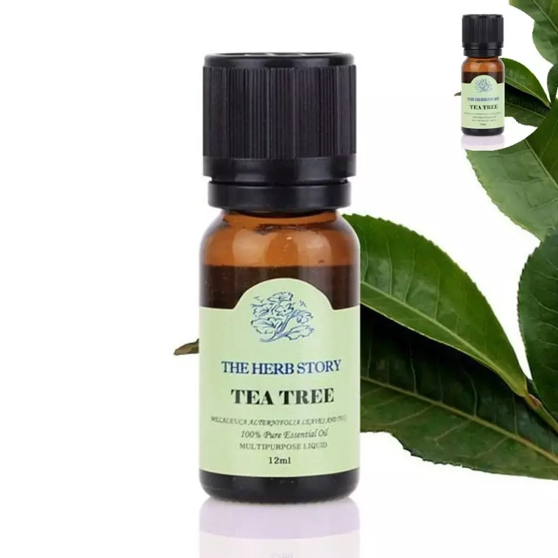 족욕 티트리 아로마 에센셜 오일 12ml Foot Bath Tea Tree