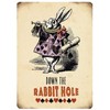 Fridge Magnet - Alice in Wonderland - Down the Rabbit