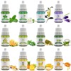 Food Flavoring Oil - 24 Pack Concentrated Flavor Oil for
