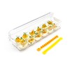 YOHA Clear Deviled Egg Tray Carrier with Lid 12 Grids