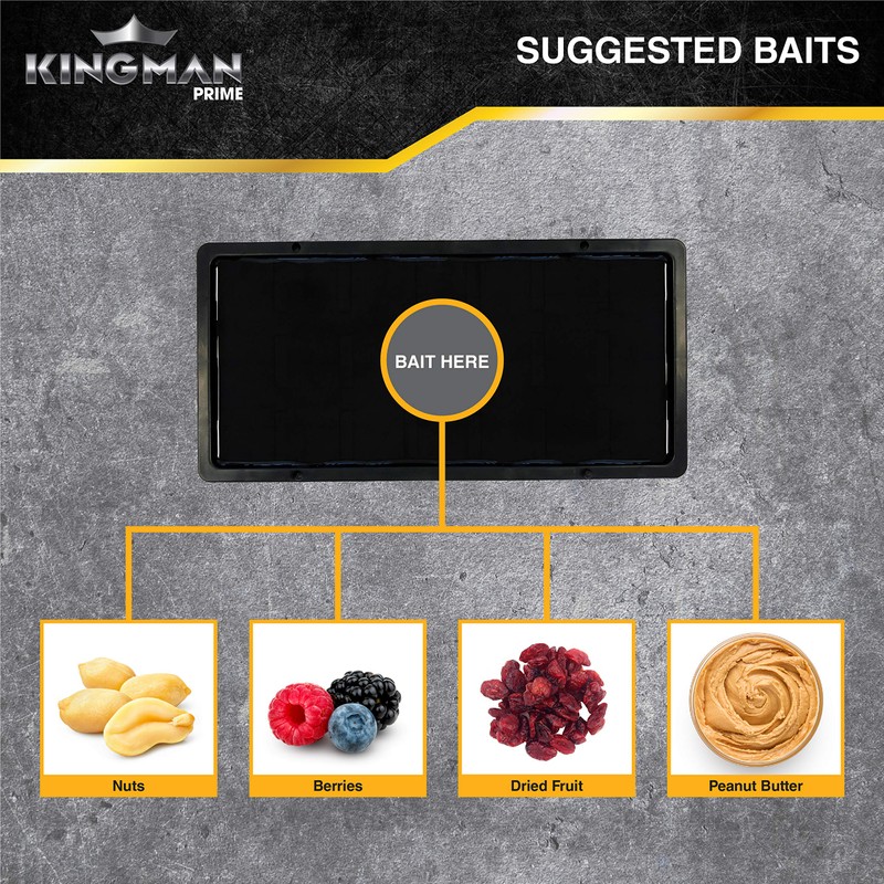 Kingman Prime Rat Mouse Rodent Pest Glue Trap (Large Size)