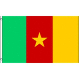 (Quantity of 50 Pieces) Cameroon Box