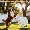 petizer 6 Pack 3.5’’ Glow in The Dark Dog Balls